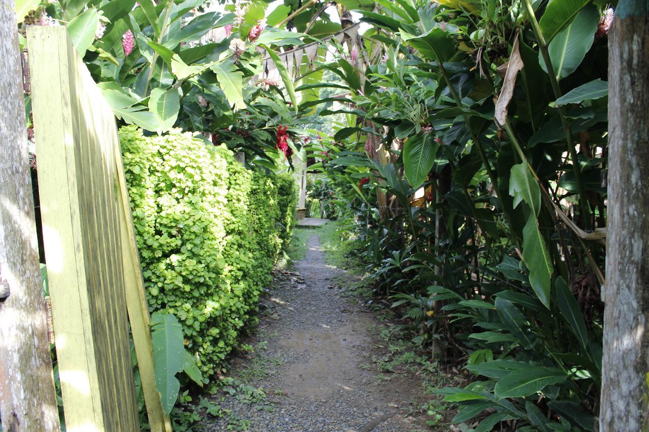 Los Robles Capurgana 호텔 외부 사진